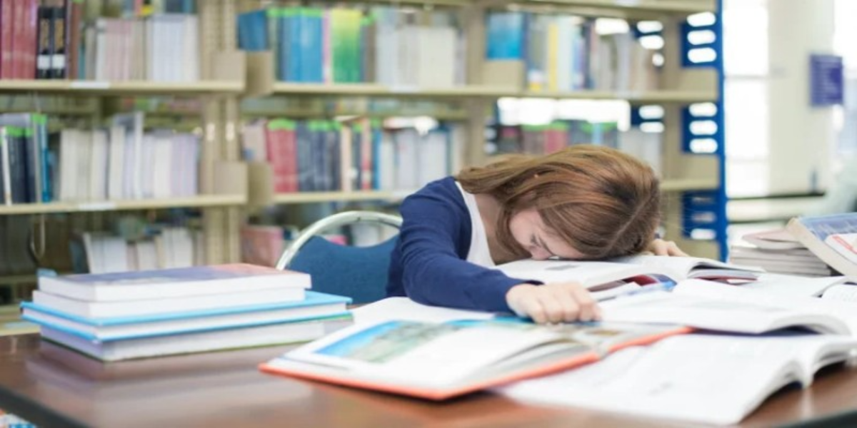 The Art of Failure: Why Teaching Resilience is More Important Than Perfect Grades